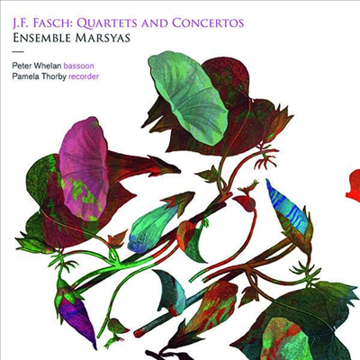 파슈: 리코더, 바순을 위한 협주곡과 사중주 (Fasch: Quartets & Concertos With Bassoon or Recorder)(CD) - Peter Whelan