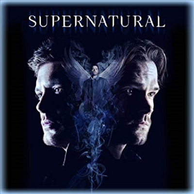 Supernatural: Complete Fourteenth Season (수퍼내추럴 시즌 14)(한글무자막)(Blu-ray)