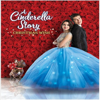 Cinderella Story: Christmas Wish (신데렐라 스토리 크리스마스 위시)(지역코드1)(한글무자막)(DVD)