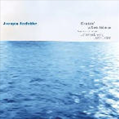 Juergen Seefelder &amp; David Liebman - Cruisin (CD)