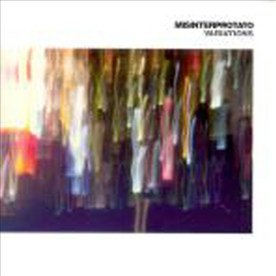 Misinterprotato - Variations (CD)