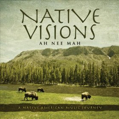 Ah Nee Mah - Native Visions (CD)