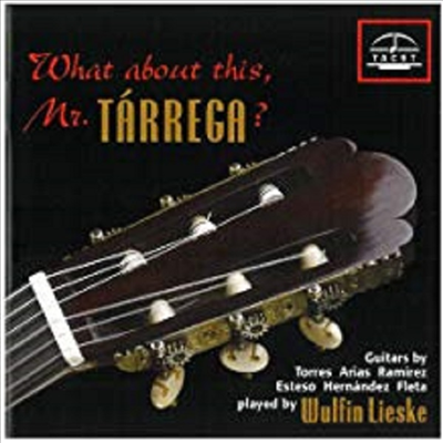 오디오파일용 기타 사운드 테스트 음반 (What about This, Mr. Tarrega?)(CD) - Wulfin Lieske