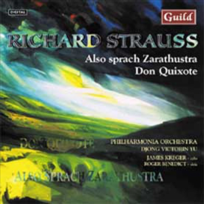 R.슈트라우스 : 짜라투스트라는 이렇게 말했다, 돈 키호테 (R.Struass : Don Quixote, Also Sprach Zarathustra)(CD) - Djong Victorin Yu