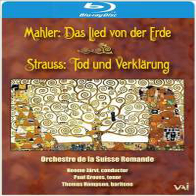 말러: 대지의 노래 & R.슈트라우스: 교향시 '죽음과 변용' Op.24 (Mahler: Das Lied Von Der Erde & R.Strauss: Tod Und Verklarung, Op. 24) (Bl-ray)(2013)(한글무자막)(Blu-ray) - Neeme Jarvi