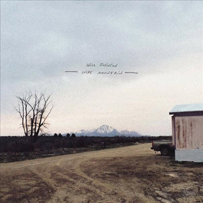 Will Johnson - Wire Mountain (MP3 Download)(LP)