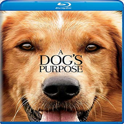 Dog's Purpose (베일리 어게인)(한글무자막)(Blu-ray)