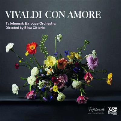 비발디 콘 아모레 (Vivaldi con amore)(CD) - Elisa Citterio