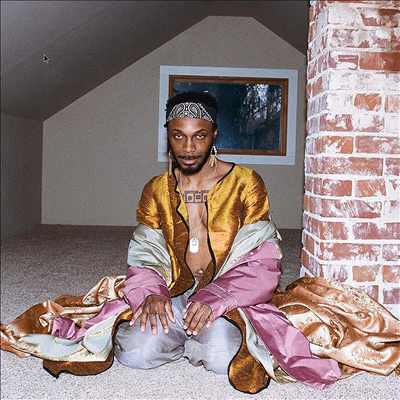 Jpegmafia - All My Heroes Are Cornballs (2LP)