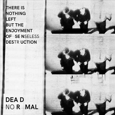 Dead Normal - There Is Nothing Left But The Enjoyment Of Senseless Destruction (LP)