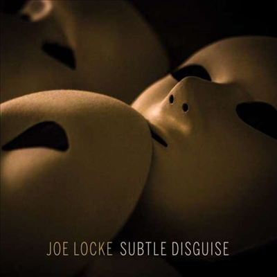 Joe Locke - Subtle Disguise (Digipack)(CD)