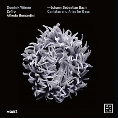 바흐: 베이스를 위한 칸타타와 아리아 (Bach: Cantatas and Arias for Bass)(CD) - Dominik Worner