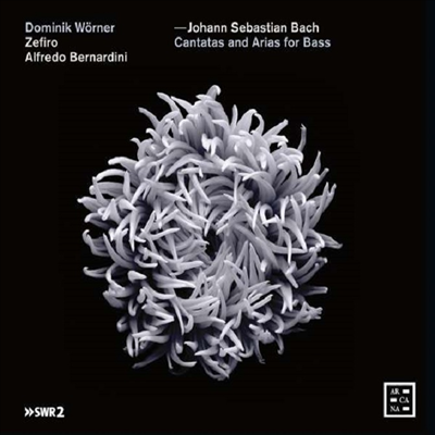 바흐: 베이스를 위한 칸타타와 아리아 (Bach: Cantatas and Arias for Bass) - Dominik Worner