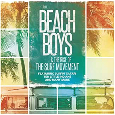 Beach Boys - Beach Boys &amp; the Rise of the Surf Movement (180G)(LP)