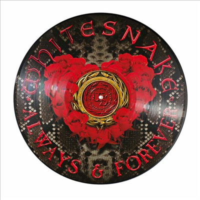 Whitesnake - Always & Forever (Ltd. Ed)(Picture LP)