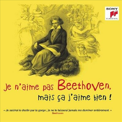 그래도 베토벤 - 베스트 작품집 (Ludwig van Beethoven - Je n'aime pas Beethoven, mais ca j'aime bien !)(CD) - 여러 아티스트
