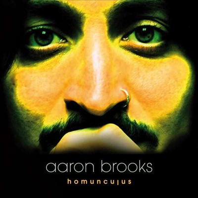 Aaron Brooks - Homunculus (180g LP)