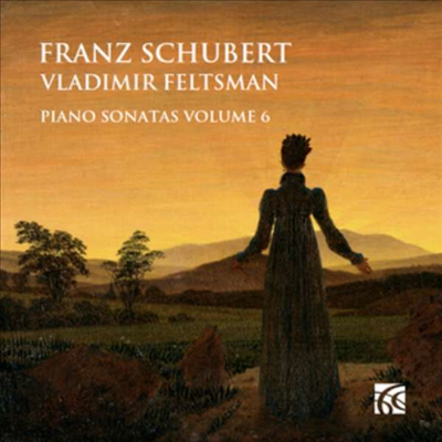 슈베르트: 피아노 소나타 6집 - 1, 5 & 15번 (Schubert: Piano Sonatas Vol.6 - Nos.1, 5 & 15) (2CD) - Vladimir Feltsman