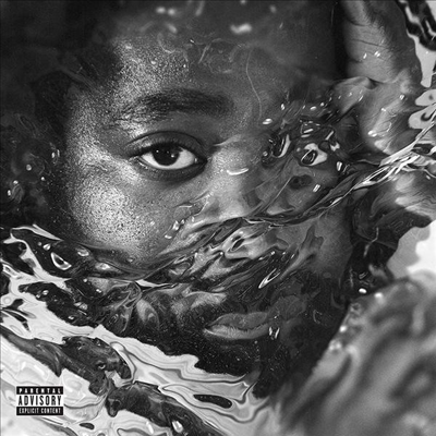 R.LUM.R - Surfacing (LP)