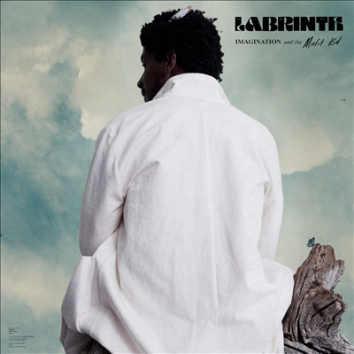 Labrinth - Imagination & The Misfit Kid (LP)