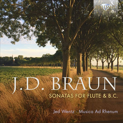 브롱: 플루트 작품집 (Braun: Works for Flute) (4CD) - Jed Wentz