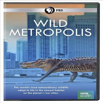 Wild Metropolis (와일드 메트로폴리스)(지역코드1)(한글무자막)(DVD)