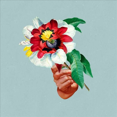 Maribou State - Kingdoms In Colour (Vinyl LP)