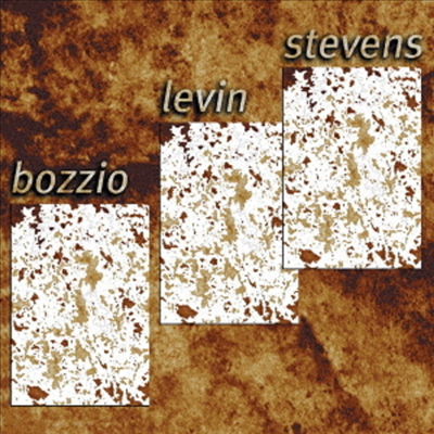 Bozzio Levin Stevens - Situation Dangerous (Cardboard Sleeve (mini LP)(SHM-CD)(일본반)