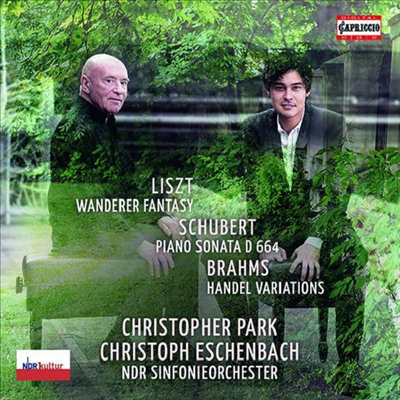 방랑자 환상곡 - 슈베르트: 피아노 소나타 13번 & 브람스: 헨델 주제에 의한 변주와 푸가 (Wanderer Fantasy - Schubert: Piano Sonata No.13 & Brahms: Variations and Fugue on a Theme By Handel, Op. 24)(CD) - 