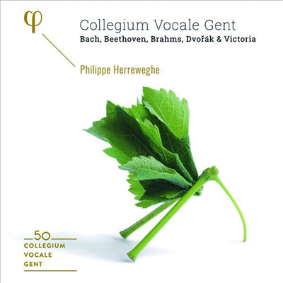 헤레베헤 - 콜레기움 보칼레 겐트 50주년 박스 세트 (Philippe Herreweghe & Collegium Vocale Gent - 50th Anniversary) (6CD Boxset) - Philippe Herreweghe