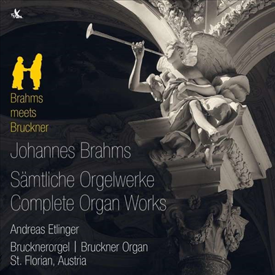 브람스, 브루크너: 오르간 작품집 (Brahms & Bruckner: Organ Works)(CD) - Andreas Etlinger