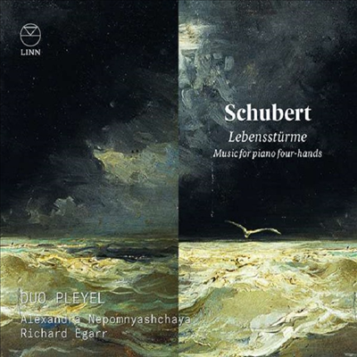 인생의 폭풍우 - 슈베르트: 네 손을 위한 피아노 작품집 (Lebenssturme - Schubert: Works for Pian Four-Hands)(CD) - Richard Egarr