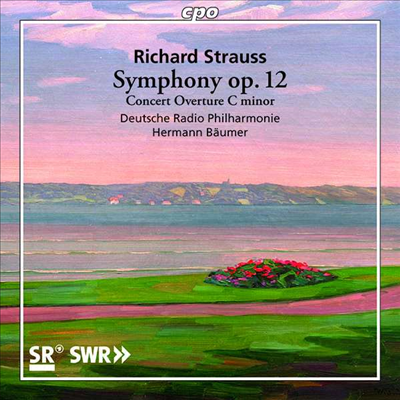 R.슈트라우스: 교향곡 2번 & 연주회 서곡 (R.Strauss: Symphony No. 2, Op.12 & Concert Overture in C minor)(CD) - Hermann Baumer