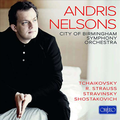 안드리스 넬손스 &amp; 버밍험 심포니 오케스트라 (Andris Nelsons &amp; City of Birmingham Symphony Orchestra) (9CD Boxset) - Andris Nelsons