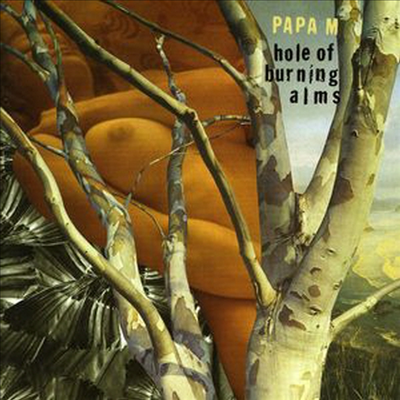 Papa M - Hole of Burning Alms (B-Sides &amp; Rarities)(CD)