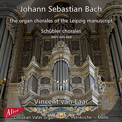 바흐: 오르간 코랄 작품집 (Bach: Chorale BWV645-668) (2CD) - Vincent van Laar