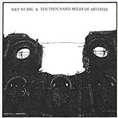 Wet Nurse. &amp; Ten Thousand Miles Of Arteries - Split CD (CD)