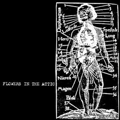 Flowers In The Attic - Flowers In The Attic (CD)