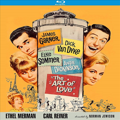 The Art Of Love (아트 오브 러브) (1965)(한글무자막)(Blu-ray)