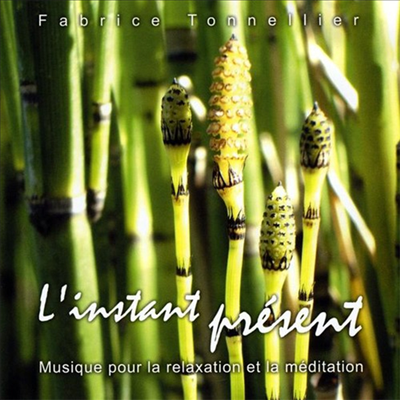 Fabrice Tonnellier - L'instant Present / Here And Now (CD)
