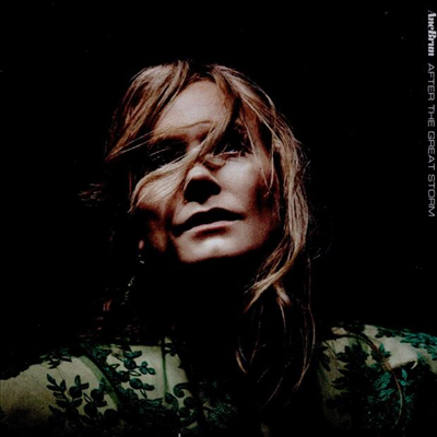 Ane Brun - After The Great Storm (CD)