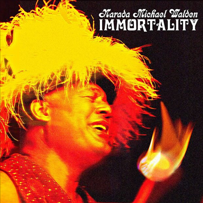 Narada Michael Walden - Immortality (CD)