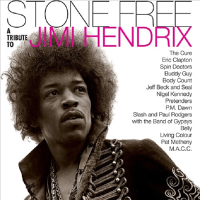 Tribute To Jimi Hendrix - Stone Free: Jimi Hendrix Tribute (Ltd. Ed)(140G)(Clear &amp; Black Coloured Vinyl)(2LP)