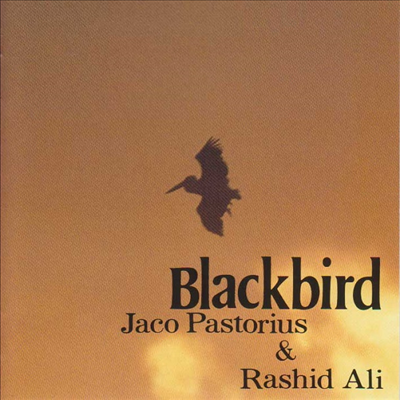 Jaco Pastorius/Rashid Ali - Blackbirds (Remastered)(Ltd. Ed)(일본반)(CD)
