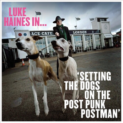 Luke Haines - Luke Haines In...Setting The Dogs On The Post Punk Postman (CD)