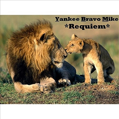 Yankee Bravo Mike - Requiem (CD-R)