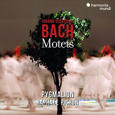 바흐: 모테트 작품집 (Bach: Motets)(CD) - Raphael Pichon