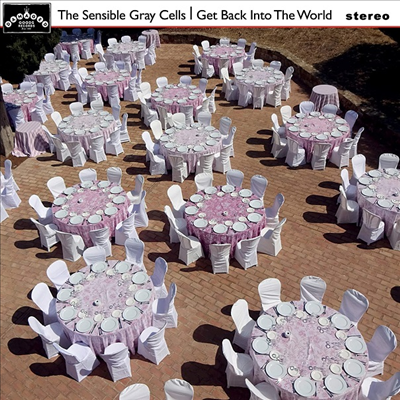 Sensible Gray Cells - Get Back Into The World (Ltd. Ed)(Gray LP)