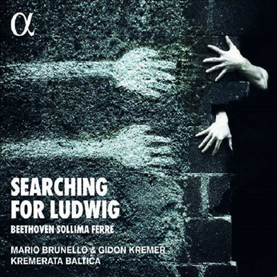 베토벤: 현악 사중주 14 & 16 - 현악 오케스트라반 (Beethoven: String Quartets Nos.14 & 16 - for String Orchestra)(CD) - Mario Brunello