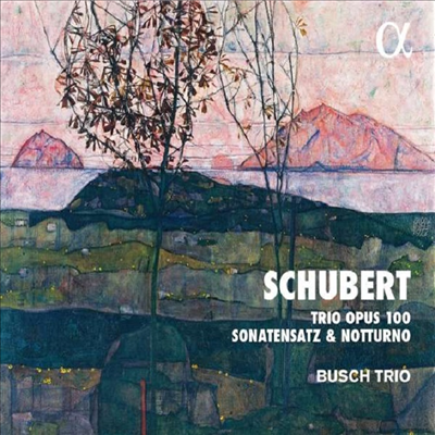 슈베르트: 피아노 삼중주 2번 (Schubert: Piano Trio No.2)(Digipack)(CD) - Busch Trio